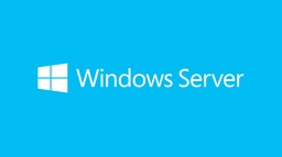 [P73-07789] Microsoft Windows Server Standard 2019 1 licence(s)
