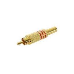 [2022041244500] Fiche Rca
