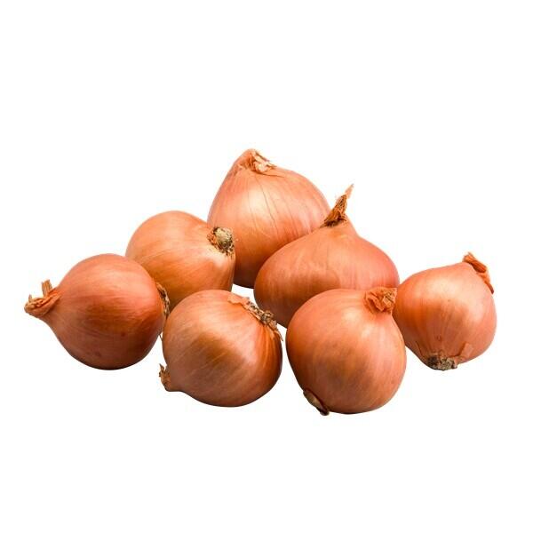 ECHALOTE RONDE (KG)-الكراث  المستدير