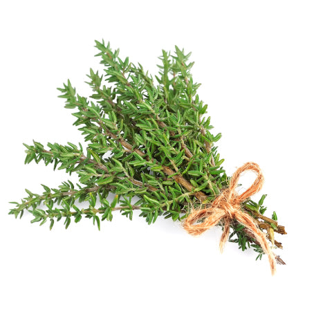 THYM (U)-الزعتر