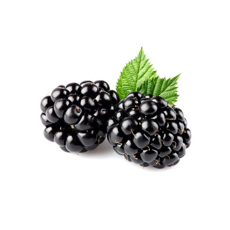 MURES (KG)-التوت  الأسود