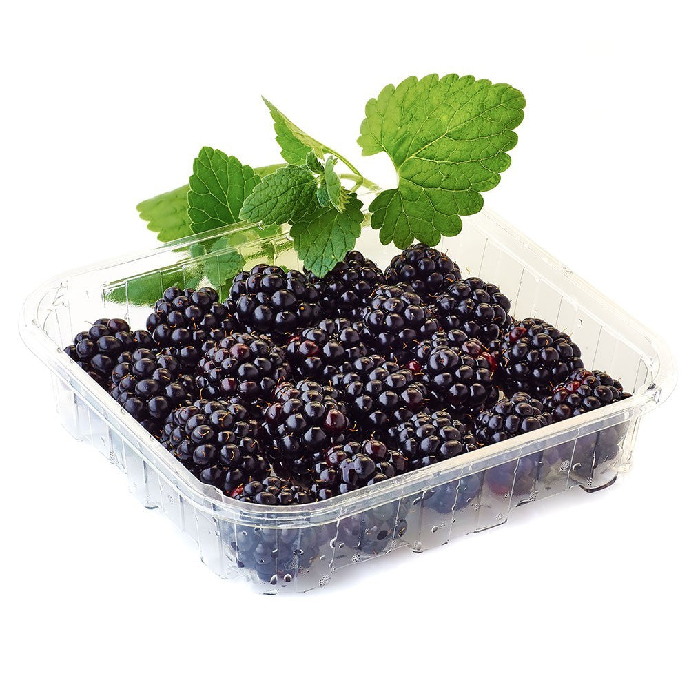 MURES (BARQUETTE)-التوت الأسود