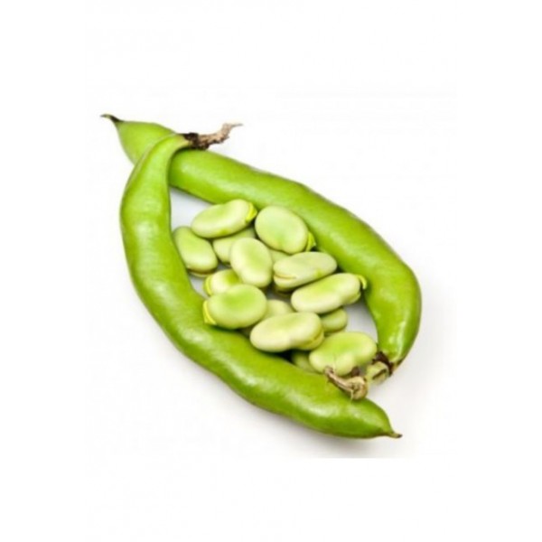 FÈVE en (kg)- فول