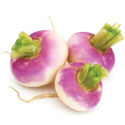 [2929781528795] NAVET ROUGE (KG)-اللفت  الأحمر