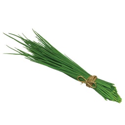 [2929758629388] CIBOULETTE (U)-الثوم المعمر